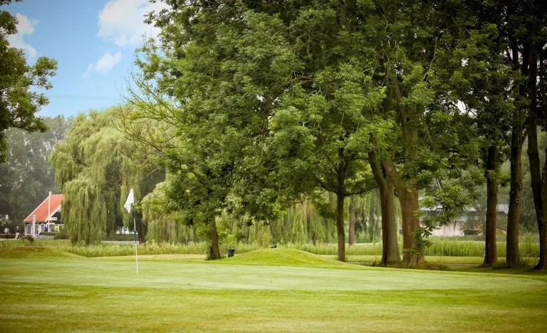 11-Golfbaan-Spaarnwoude-Bomen-Golfbaan
