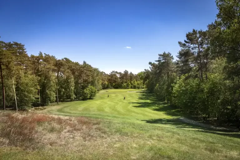 12-Golfbaande-Herkenbosche-Golfbaan-Gras-Bomen