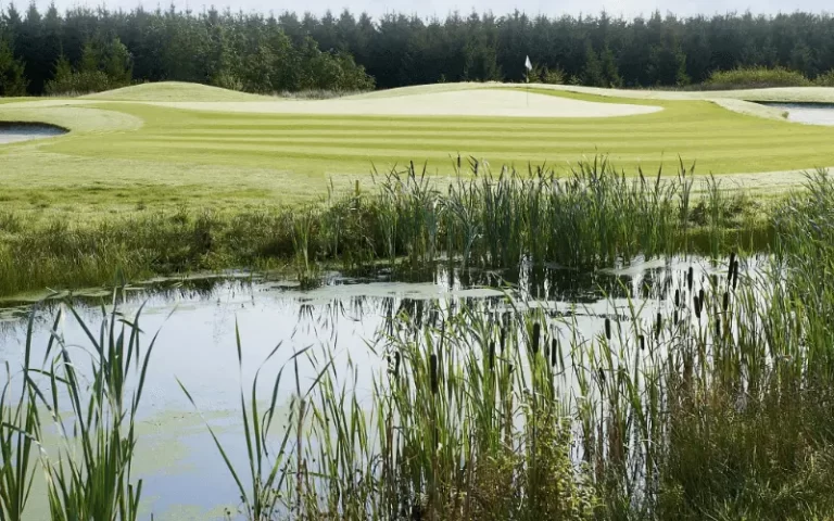 2-Drentsche-golfc-en-country-club-golf