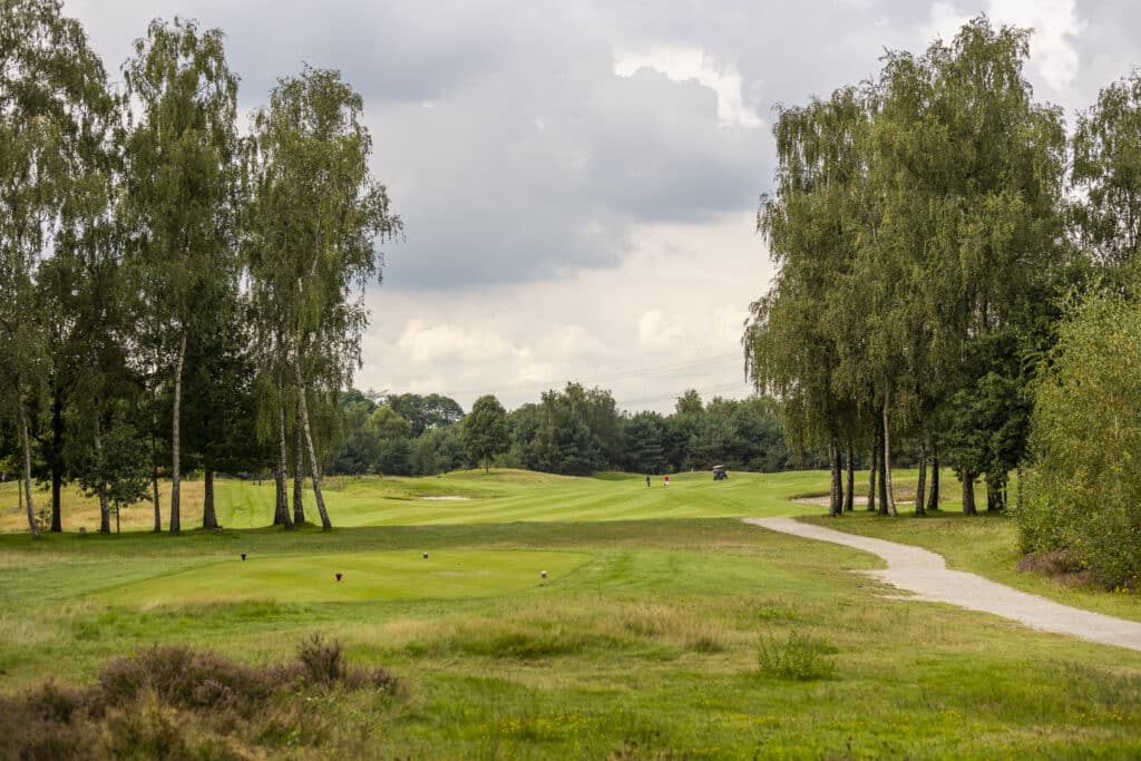 Events Bergvliet BERGVLIET 2023 74A7880