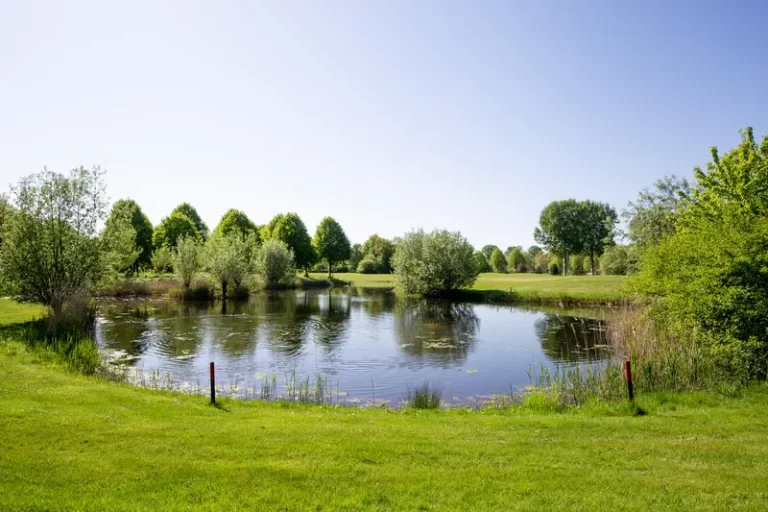 1-Golfclub-Zeewolde-Golfbaan-Water-2