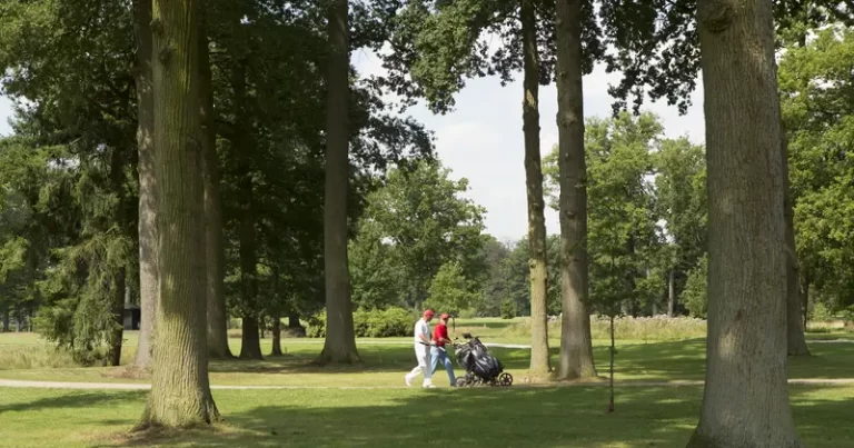 5-Golfbaan-Kasteel-Engelenburg-Golfers