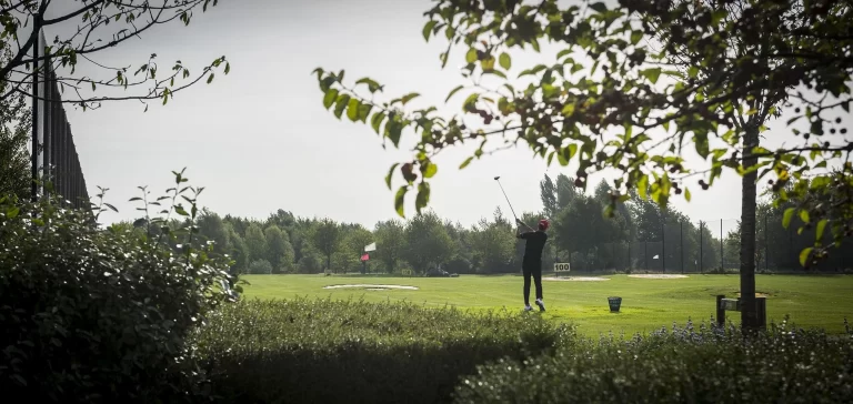 7-De-Goese-Golf-Slaan