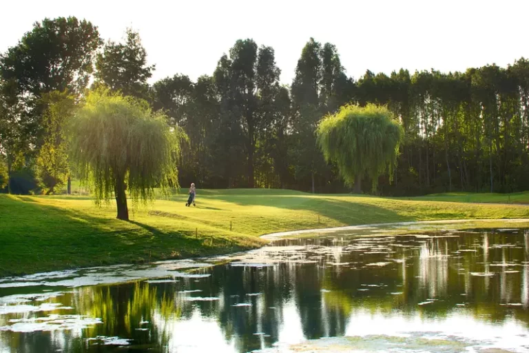 7-Golf-en-country-club-hoensehuis-Water-Golfbaan