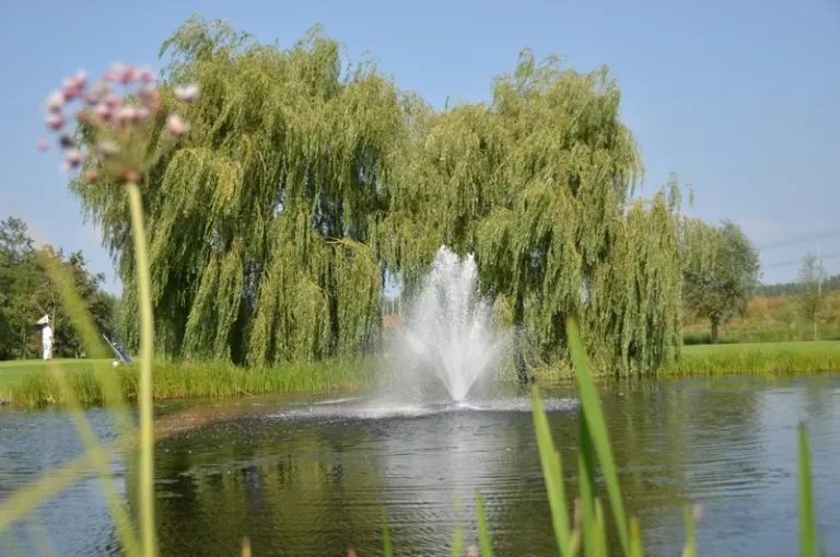 7-Golfbaan-Delfland-Fontijn
